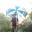 KOHOP
